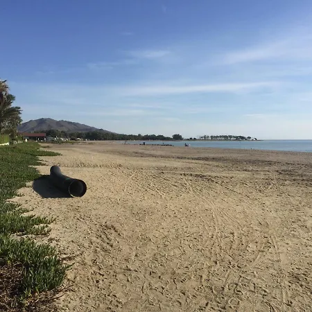 Beach Daze * Vera